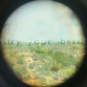 Try Your Best (REMIXES)