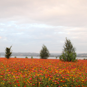 离开青春的日子