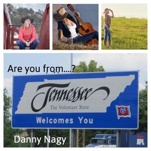 Are you from Tennessee? (#CornyPickupLines)