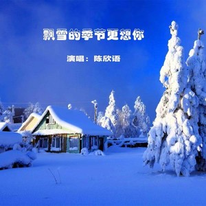 飘雪的季节更想你