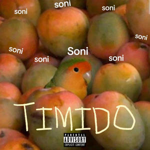 TIMIDO (Explicit)