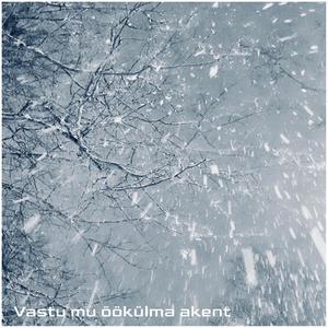 Vastu mu öökülma akent (feat. Tõnu Timm, Peeter Rebane & VHK keelpilliorkester)