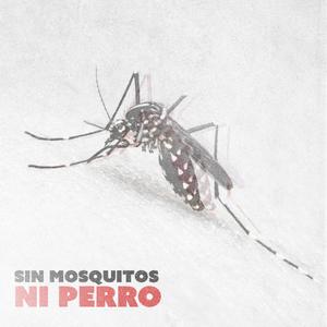 Sin mosquitos ni perro (Explicit)