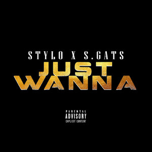 Just Wanna (Explicit)