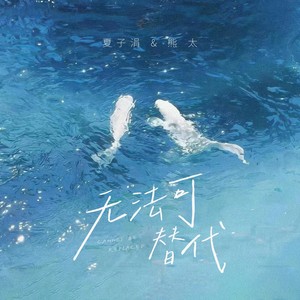 无法可替代