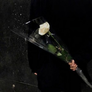 你 像 风 一 样 自 由