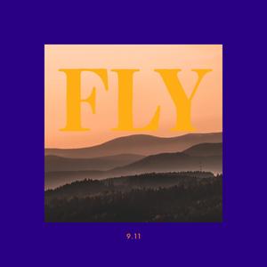 FLY (Explicit)