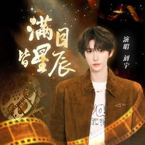 满目皆星辰-刘宇