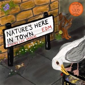 Everyday Magic - Fox