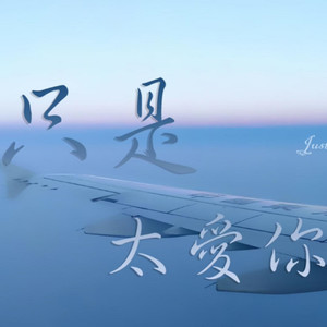 最后慢舞封面