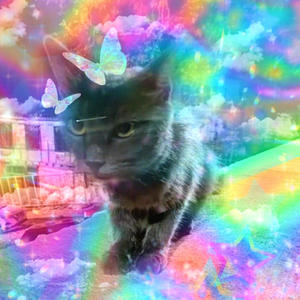 why'd you let me go (feat. Qrystral) (Explicit)