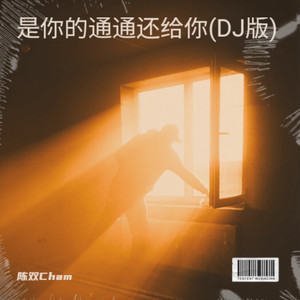 是你的通通还给你 (DJ版)