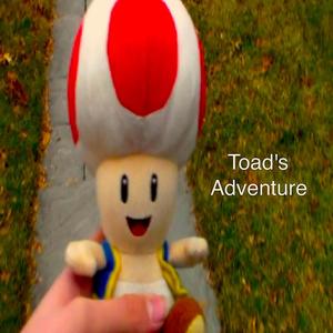 Toad's Adventure