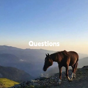 Questions