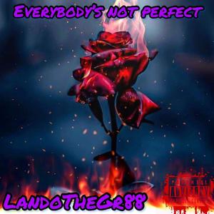Everybody's Not Perfect (Explicit)