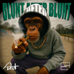 Blunt After Blunt (Explicit)
