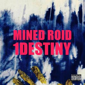 Mined Roid x 1Destiny (Explicit)