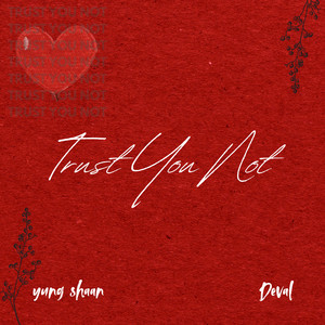 Trust You Not