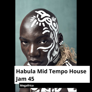 Habula Mid Tempo House Jam 45