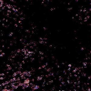 Beacon 2 (Explicit)