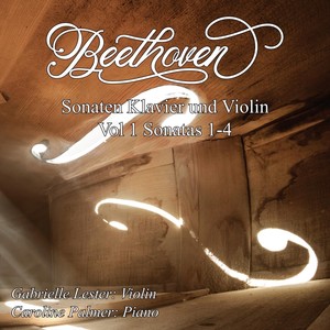 Piano and Violin Sonata in D Major, Op. 12, No. 1 - I. Allegro con brio