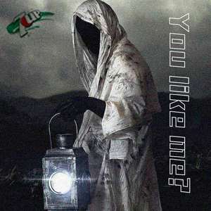 Cat naps-You like me% (小胖Devil / 七喜 remix)