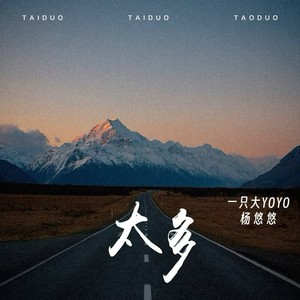 太多 (DJ哭包版)