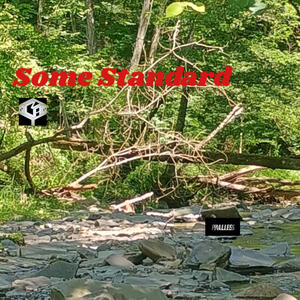 Some Standard (feat. Lowly, Fixit & Doc Bones) (Eidos Dub|Explicit)