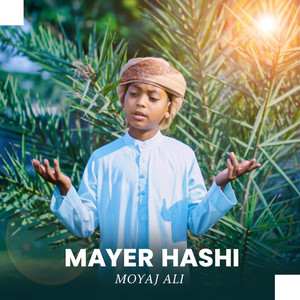 Mayer Hashi