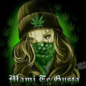 Mami Te Gusta(feat. Lil Anonimo) (Explicit)