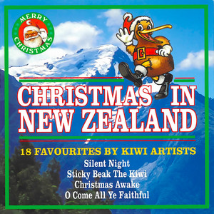 Christmas In New Zealand