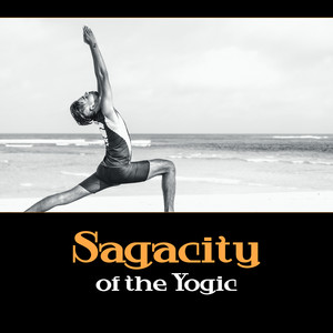 Sagacity of the Yogic – Reunion of Joy