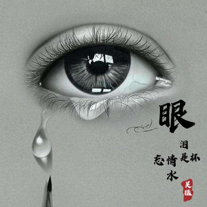 吴猛 - 眼泪是杯忘情水
