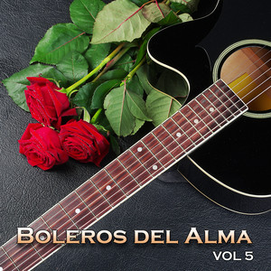 Boleros del Alma, Vol. 5