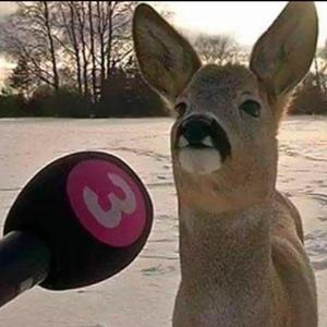 The diet doctor pepper froze in your hands