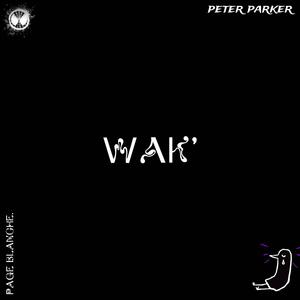 page blanche (Skjazz Remix|Explicit)