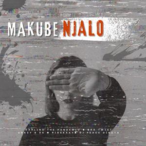 Makube Njalo (feat. Ribskaay & Dj Peace Dikota)