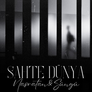 Süngü Sahte Dünya