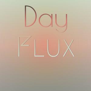 Day Flux