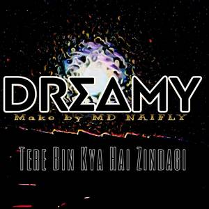 Tere Bin Kya Hai Zindagi