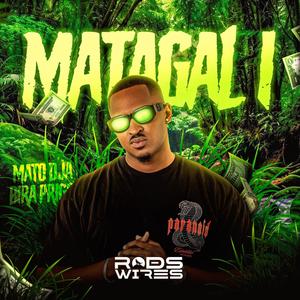 Rods Wires - Matagal 1