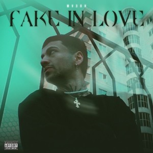 Fake in Love (Explicit)