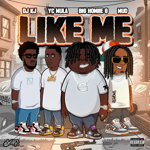 Like Me (Explicit)