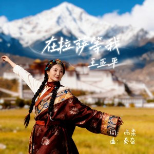 在拉萨等我