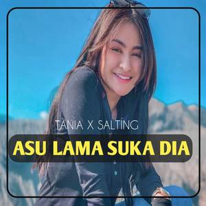 DJ Asu Lama Suka Dia Full Bass Viral TikTok