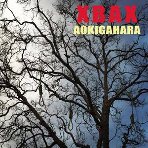 Aokigahara