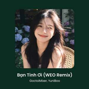 Bạn Tình Ơi (WEO Remix Beat)