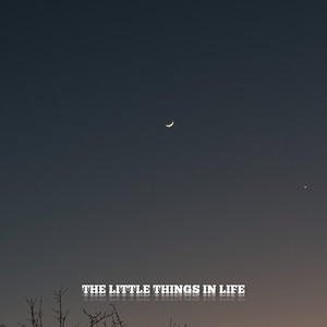 the little things in life