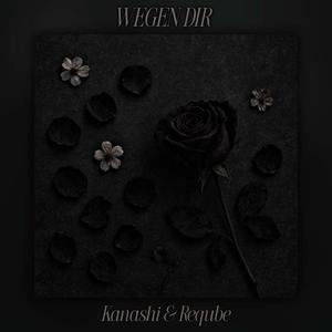 WEGEN DIR (feat. Kanashi) (Explicit)