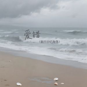 爱错 (翻开回忆角落)-西亭圆圆鹅